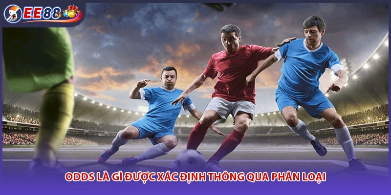 Odds là gì được xác định thông qua phân loại